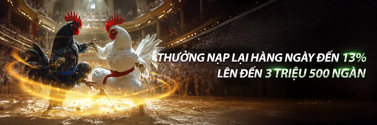 Tổng quan về nền tảng 66vn khuyến mãi