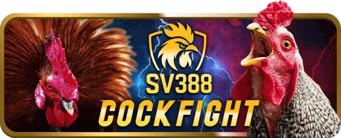 Cá Cược Thể Thao 66vn